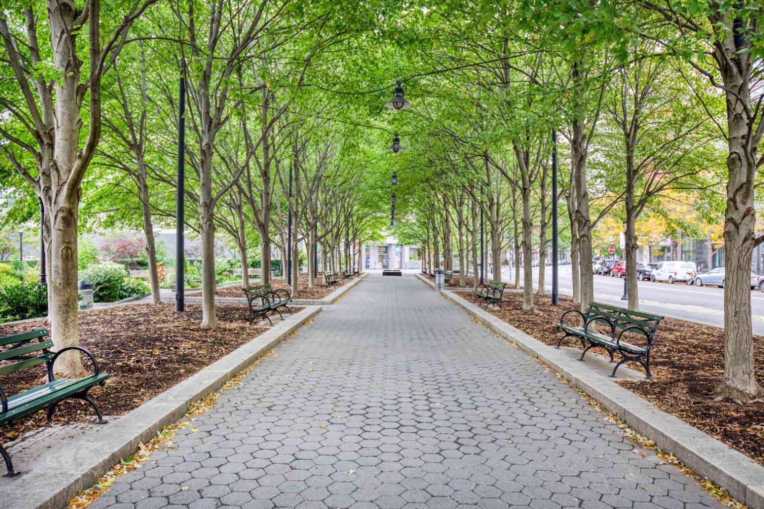 Modern Fidi 1Br W Roofdeck Gym Doorman Nyc-443 Apartment New York Luaran gambar